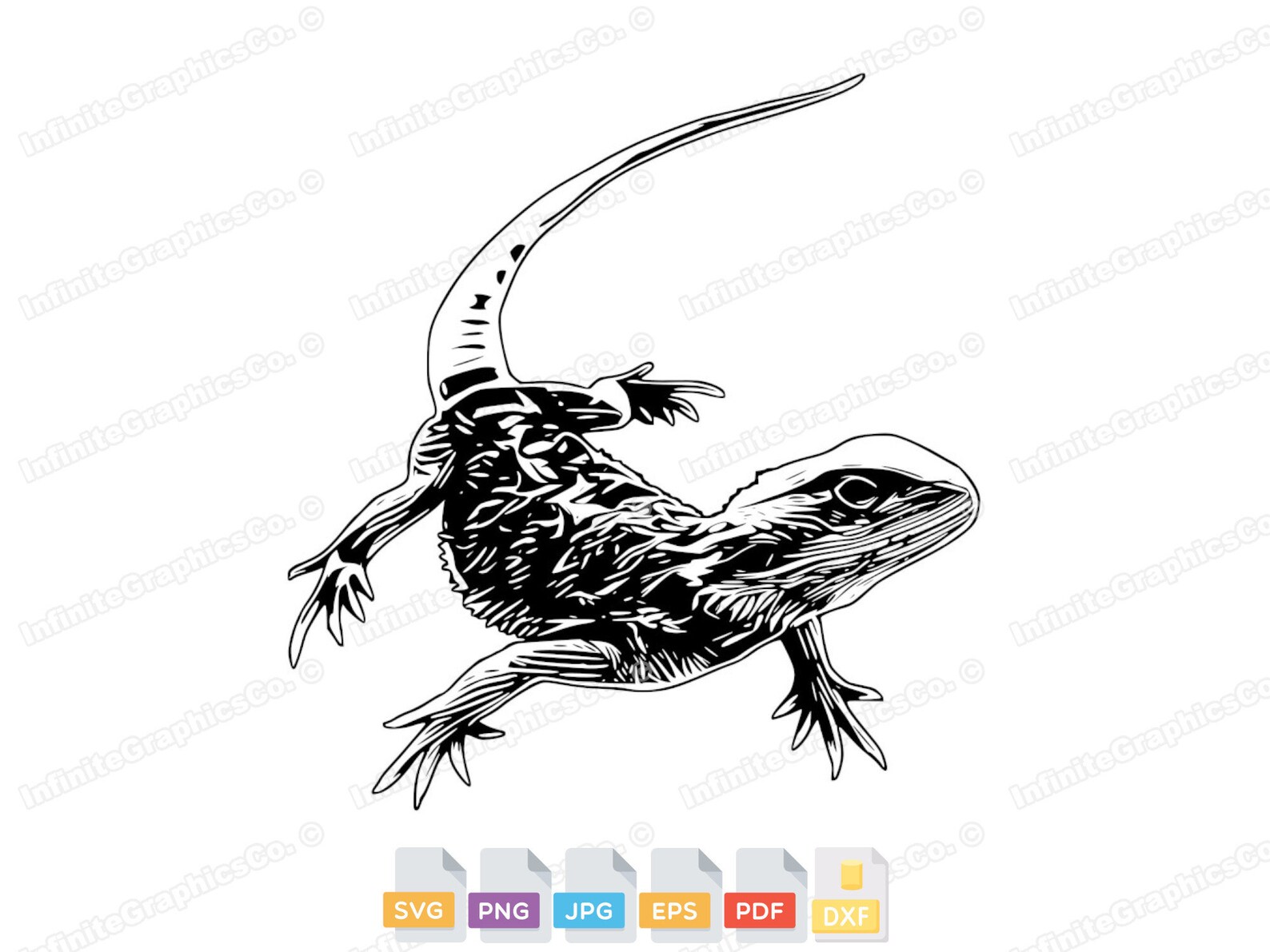 High Quality Bearded Dragon SVG PNG EPS, Lizard Svg, Reptile Svg