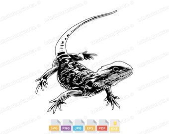 High Quality Bearded Dragon SVG PNG EPS, Lizard Svg, Reptile Svg, Bearded Dragon Cut File, Bearded Dragon Clipart, Silhouette