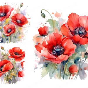 Clipart de papoulas em aquarela, flores de papoula vermelhas, clipart floral, flores de papoula da Califórnia, download instantâneo e uso comercial
