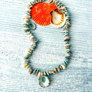 May include: A necklace composed of small, light blue and tan sea shells strung together in a circular pattern. At the top, a large, vibrant orange fan-shaped shell and a smaller, white and brown spiral shell are positioned as focal points.