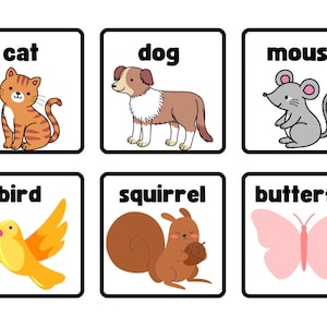 Animal Flashcards for Toddlers to Kindergarten - Digital Download - Educational Animal Learning Cards - Interactive Teaching Tool Homeschool