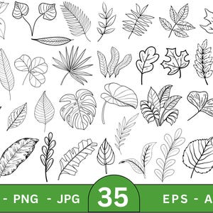 Peut inclure: Illustration en noir et blanc de 35 feuilles de différents types. L'image présente des feuilles de diverses formes et styles. Formats de fichiers : SVG, PNG, JPG, EPS et AI. Le nombre 35 est affiché.