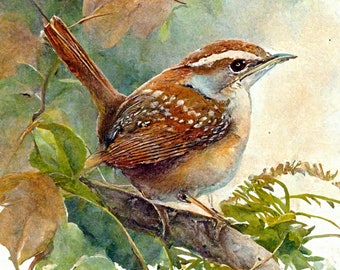 Carolina Wren Watercolor Print - Minimalist Bird Art for Home Decor