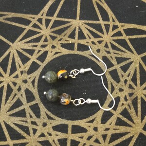 Positively charged serpentine and fire agate earrings