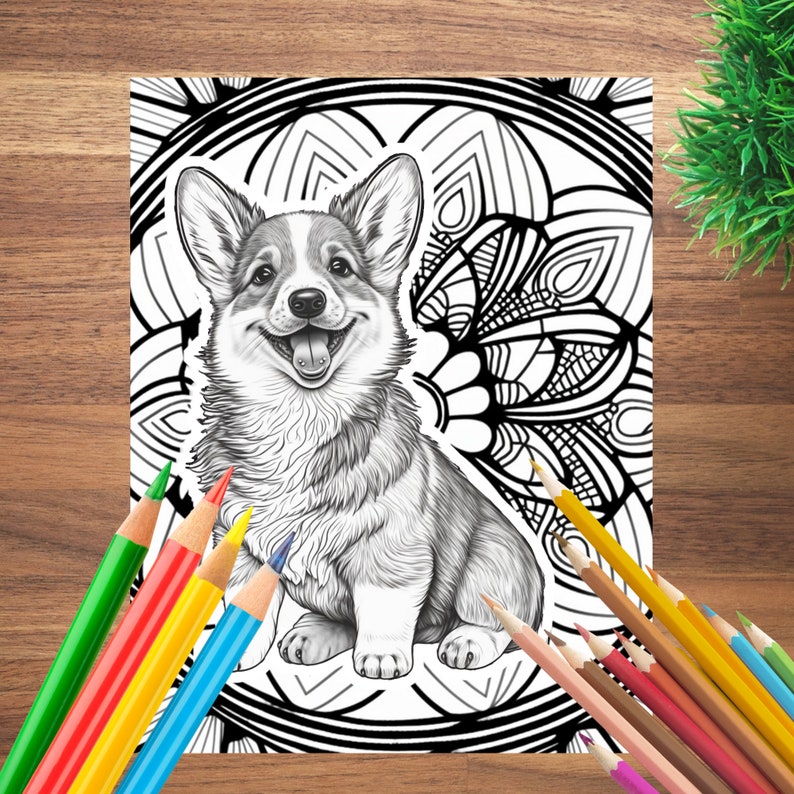20 Corgi Adult Coloring Pages With Mandalas Dog Coloring - Etsy