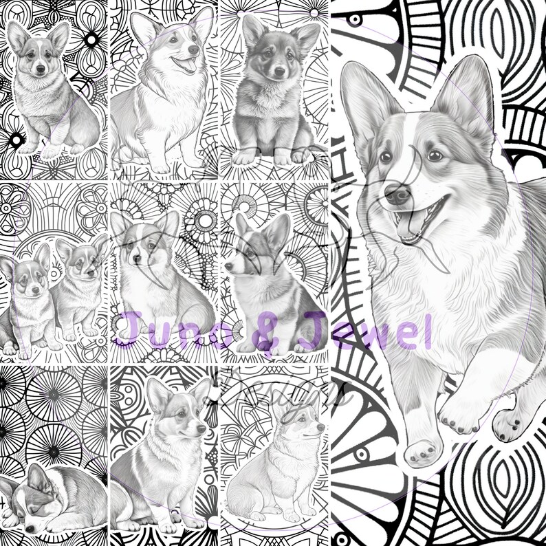 20 Corgi Adult Coloring Pages With Mandalas Dog Coloring - Etsy