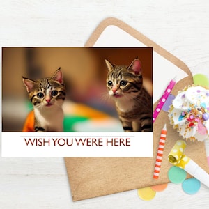 desejo que você estivesse aqui cartão imprimível | Cartão imprimível da senhorita Você | Cartões de download digital tristes | Cartões Miss You imprimíveis | Gatinhos carrancudos