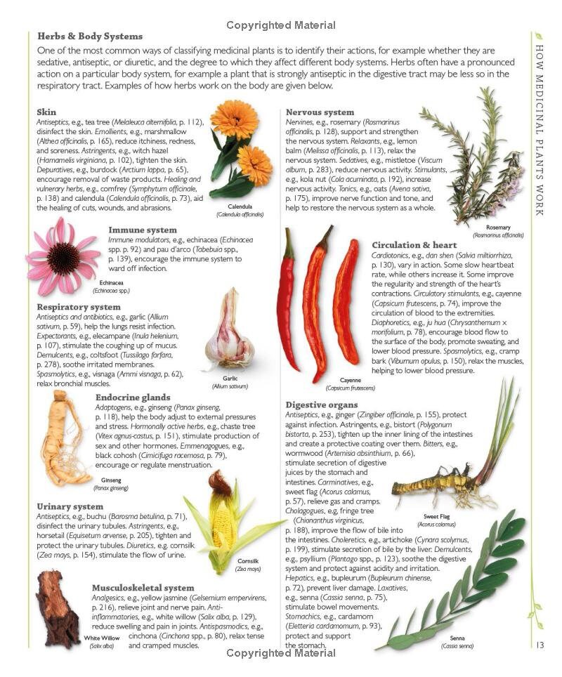 Encyclopedia of Herbal Medicine 550 Herbs and Remedies for Common