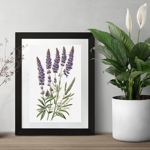Lavender Botanical Digital Art Print
