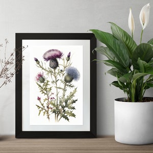 Alpine Thistle Vintage Botanical Digital Art Print