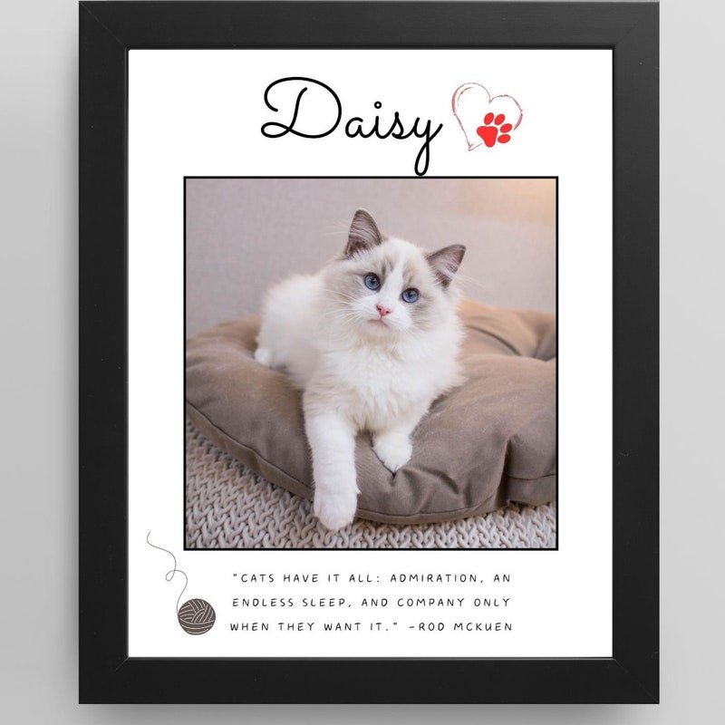 Catt Frame Cat Photo Frame - Etsy UK