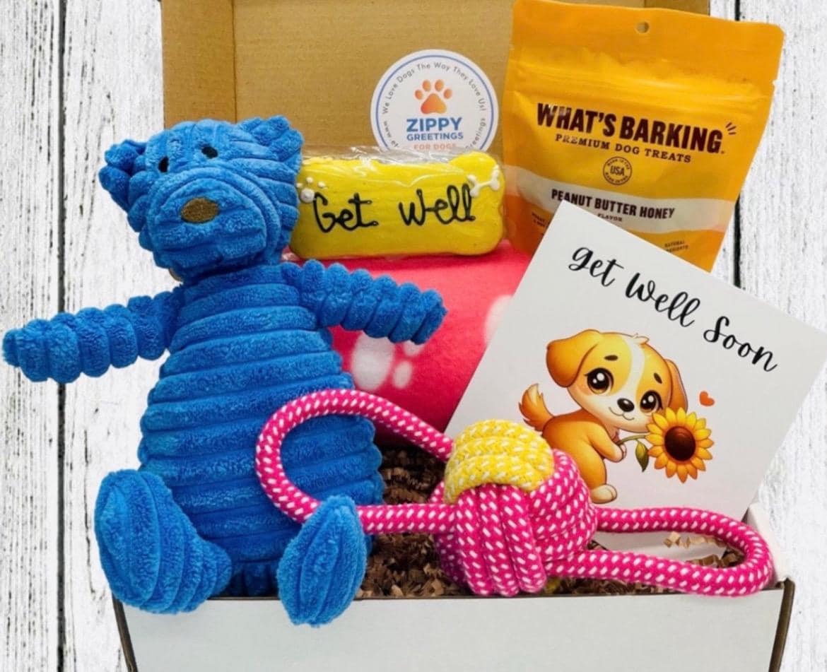 Pet Get Well Card