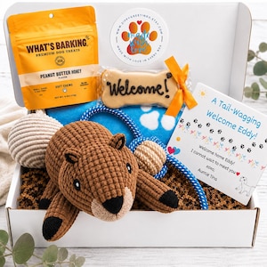 May include: A gift box containing a bag of What's Barking peanut butter honey dog treats, a bone-shaped cookie with the text Welcome, a blue paw print blanket, a brown crocheted animal toy, a blue rope toy, and a card reading A Tail-Wagging Welcome Eddy!
