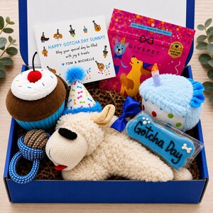May include: A blue gift box containing a plush cupcake toy, a plush blue cake toy with a candle, a plush cream-colored dog toy wearing a party hat, a blue rope ball toy, a blue bone-shaped cookie labeled Gotcha Day, and a bag of GivePet dog treats.
