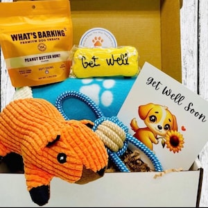 Squirrely Comfort Get Well Box, Small-Med Dog, Get Well Dog, Dog Care Package, Dog Gift Box, Dog Gift Basket, Sick Dog Gift, Dog Gift