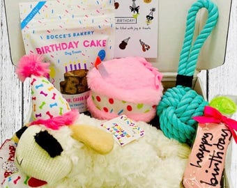 Pawty Time Birthday Gift Box | Dog Birthday Gift Basket, Gotcha Day Gift for Dog, Personalized Puppy Gift, Dog Birthday