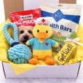Quak-Tastic Recovery, Dog Get Well Soon, Dog Care Package, Dog Gift Box, Dog Gift Basket, Sick Dog Gift, Dog Gift Ideas, Dog Gift