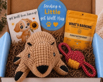 Get Well Dog Gift Box – Little Squirrel Hugs | Dog Recovery Care Package | Personalized Pet Gift | Sick Dog Gift | Dog Lover Gift