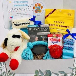 Welcome New Dog Gift Box – Lamb Plush Toy, Toys, Treats & Blanket | Lambie’s Welcome Wag Box