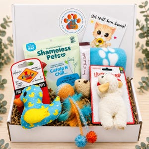 May include: A white gift box containing a variety of cat items including a blue duck toy with yellow ducks, a bag of Shameless Pets catnip treats, a Lambchop plush toy, a blue paw print blanket, a catnip ball, and a Get Well Soon Sunny card.