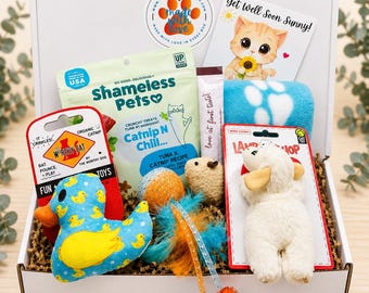 Get Well Cat Gift Box – Plush Duck & Lamb Comfort Set with Treats | Cheer Up Care Package for Cats