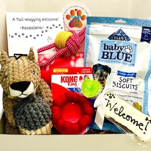 New Dog Welcome or Congrats Gift Box| Squirrel Plush Toy, Teething Ring, Puppy Treats, Cozy Blanket & Dog Cookie| The Squirrelly Welcome Box
