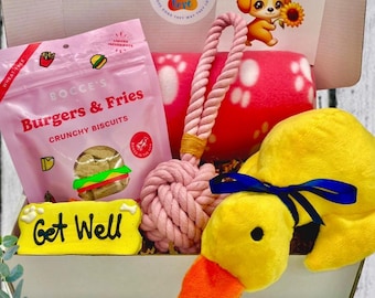 Op de afbeelding: Een cadeaupakket voor honden met speelgoed en lekkernijen. Inclusief een gele pluche eend, een roze touwspeeltje, een zakje "Burgers & Fries" knapperige biscuits en een "Get Well Soon" kaart.