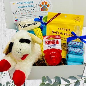 May include: A gift box for a new dog, containing a plush lamb toy, a red Kong toy, dog treats, a rope toy, and waste bags. The box includes a welcome card with the text "A Tail-Wagging Welcome Eddy!"