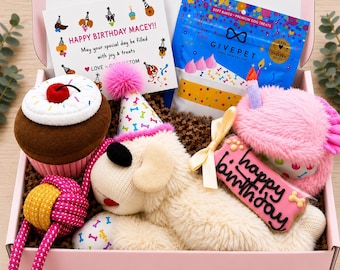 Dog Birthday Gift Box, Gotcha Day Gift for Dog, Personalized Puppy Gift, Plush Lamb & Cupcake Toys, Birthday Cookie and Treats, Pawty Time