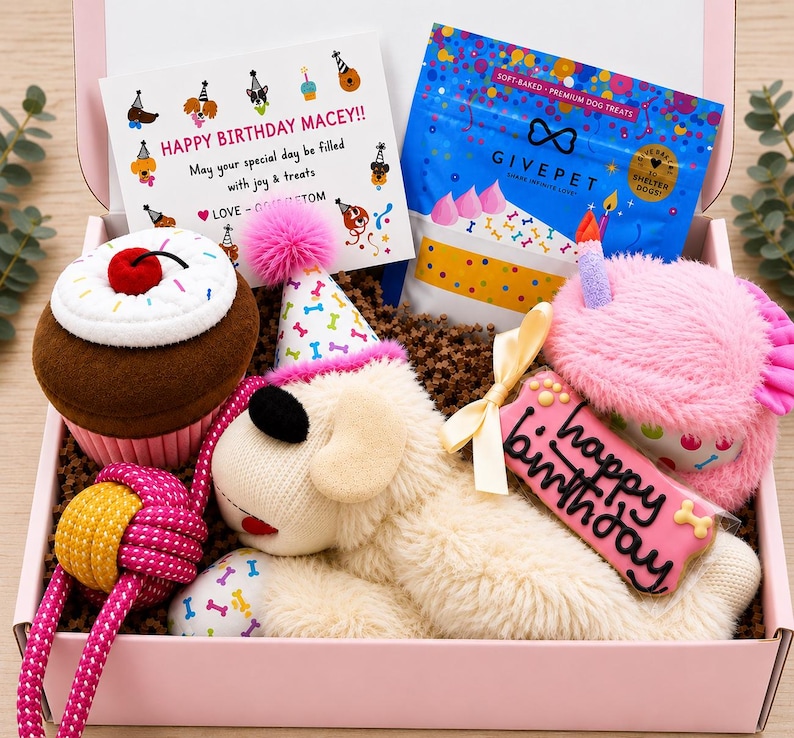 May include: A pink gift box containing a plush dog wearing a party hat, a plush cupcake toy with a red cherry, a pink plush toy with a candle, a pink and yellow rope toy, a bag of GivePet dog treats, and a card reading Happy Birthday Macey.