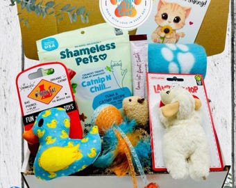 Get Well Cat Gift Box – Plush Duck & Lamb Comfort Set with Treats | Cheer Up Care Package for Cats