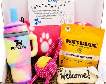 Welcome New Dog Gift Box – Squeaky Tumbler Toy, Treats, Paw Blanket & Cookie – New Puppy Care Package – Sip and Squeak Pup Box
