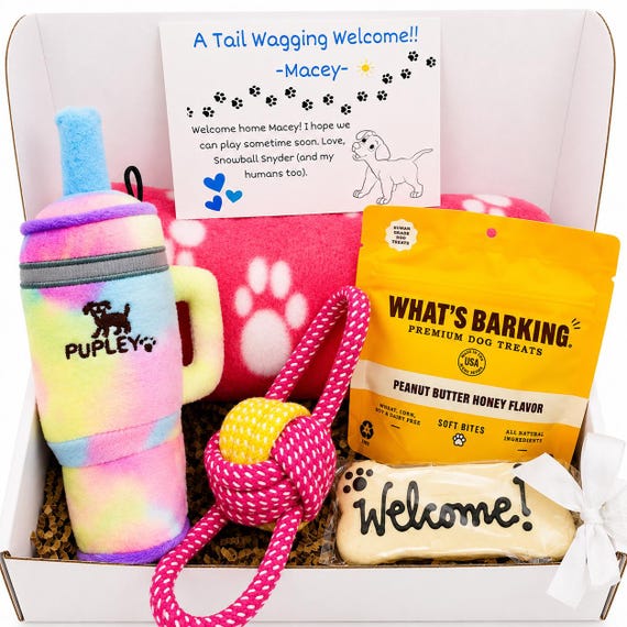 Welcome New Dog Gift Box – Squeaky Tumbler Toy, Treats, Paw Blanket & Cookie – New Puppy Care Package – Sip and Squeak Pup Box