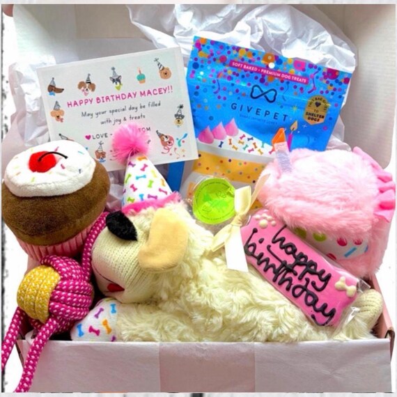 Dog Birthday Gift Box, Gotcha Day Gift for Dog, Personalized Puppy Gift, Plush Lamb & Cupcake Toys, Birthday Cookie and Treats, Pawty Time