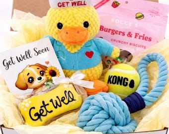 Get Well Dog Gift Box, Personalized Dog Surgery Recovery Gift, Dog Care Package, Pet Get Well Soon Gift, Nurse Quackers Dog Toy Gift
