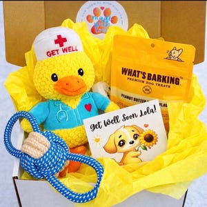 May include: A get-well gift box for a dog, featuring a plush duck wearing a nurse's hat and scrubs, a blue rope toy, a bag of dog treats, and a card that says "Get Well Soon Lola!"