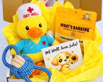 Dog Get Well Gift Box – Nurse Quackers Care Package, Get Well Soon Dog Gift, Pet Recovery Gift, Sick Dog Gift