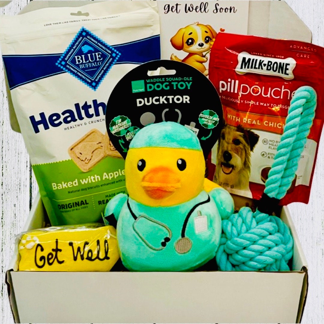Quaktastic Recovery, Dog Get Well Soon, Dog Care Package, Dog Gift Box