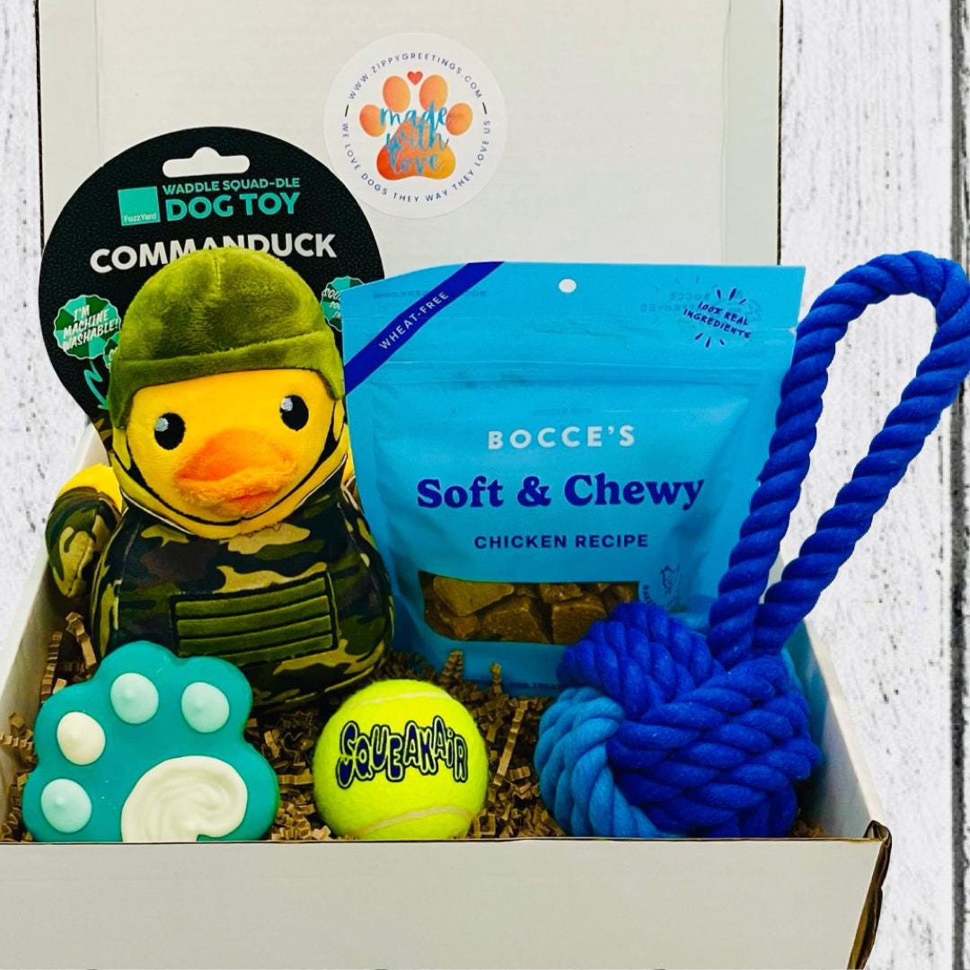 Goody Box Dog Treats And Toys The Dog Box Gift Box For Dogs