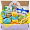 Quak-Tastic Recovery, Dog Get Well Soon, Dog Care Package, Dog Gift Box, Dog Gift Basket, Sick Dog Gift, Dog Gift Ideas, Dog Gift