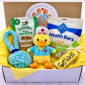 May include: A gift box filled with dog treats, a plush duck wearing a nurse's hat, and a blue rope toy. The box contains Greenies Pill Pockets, Blue Buffalo Health Bars, and a bone-shaped cookie that says "Get Well".