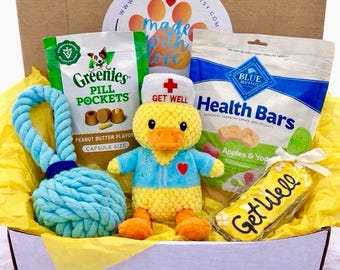 Quak-Tastic Recovery, Dog Get Well Soon, Dog Care Package, Dog Gift Box, Dog Gift Basket, Sick Dog Gift, Dog Gift Ideas, Dog Gift