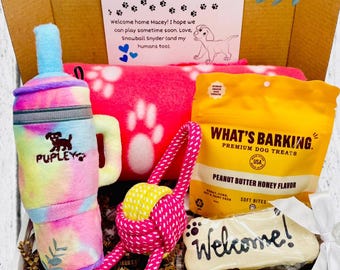 Welcome or Congrats New Dog Gift Box – Squeaky Tumbler Toy, Treats, Paw Blanket & Cookie – New Puppy Care Package – Sip and Squeak Pup Box