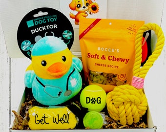 Dog Get Well Soon, Dog Care Package, Dog Gift Box, Dog Gift Basket, Sick Dog Gift, Dog Gift Basket Get Well, Gift For Dog