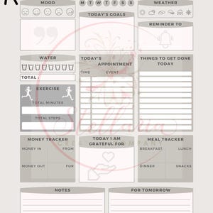 May include: A printable daily planner with sections for mood, weather, today's goals, water intake, exercise, money tracker, today's appointment, things to get done today, today I am grateful for, and meal tracker. The planner has a light gray background with pink accents.