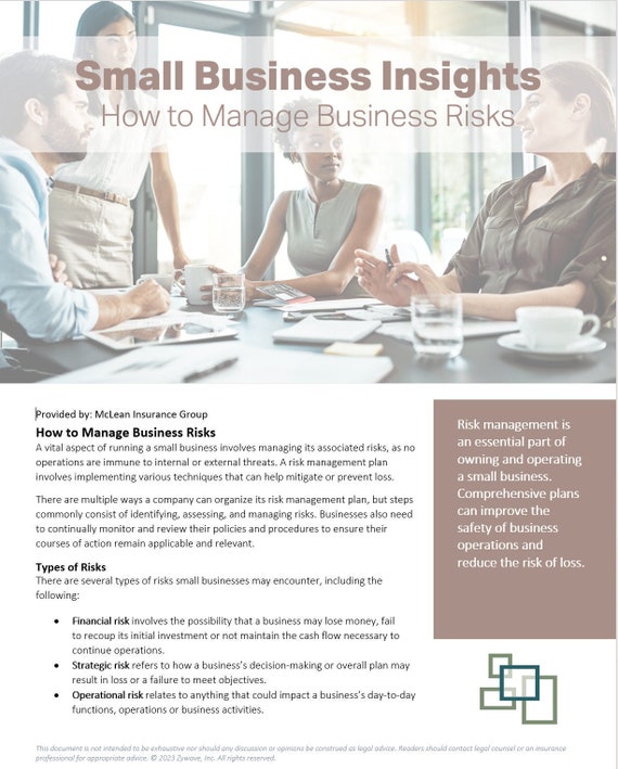New Business Insight - Risk Management Form - Organization Risk - Assessing Risk Form - Mange Business Risks - Risk Management Steps