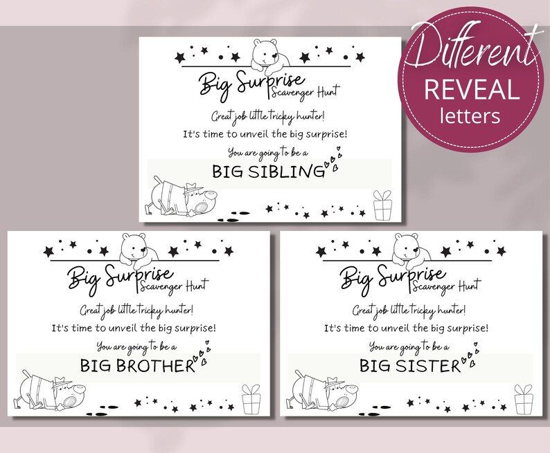 Pregnancy Reveal Indoor Scavenger Hunt for Siblings Treasure Etsy