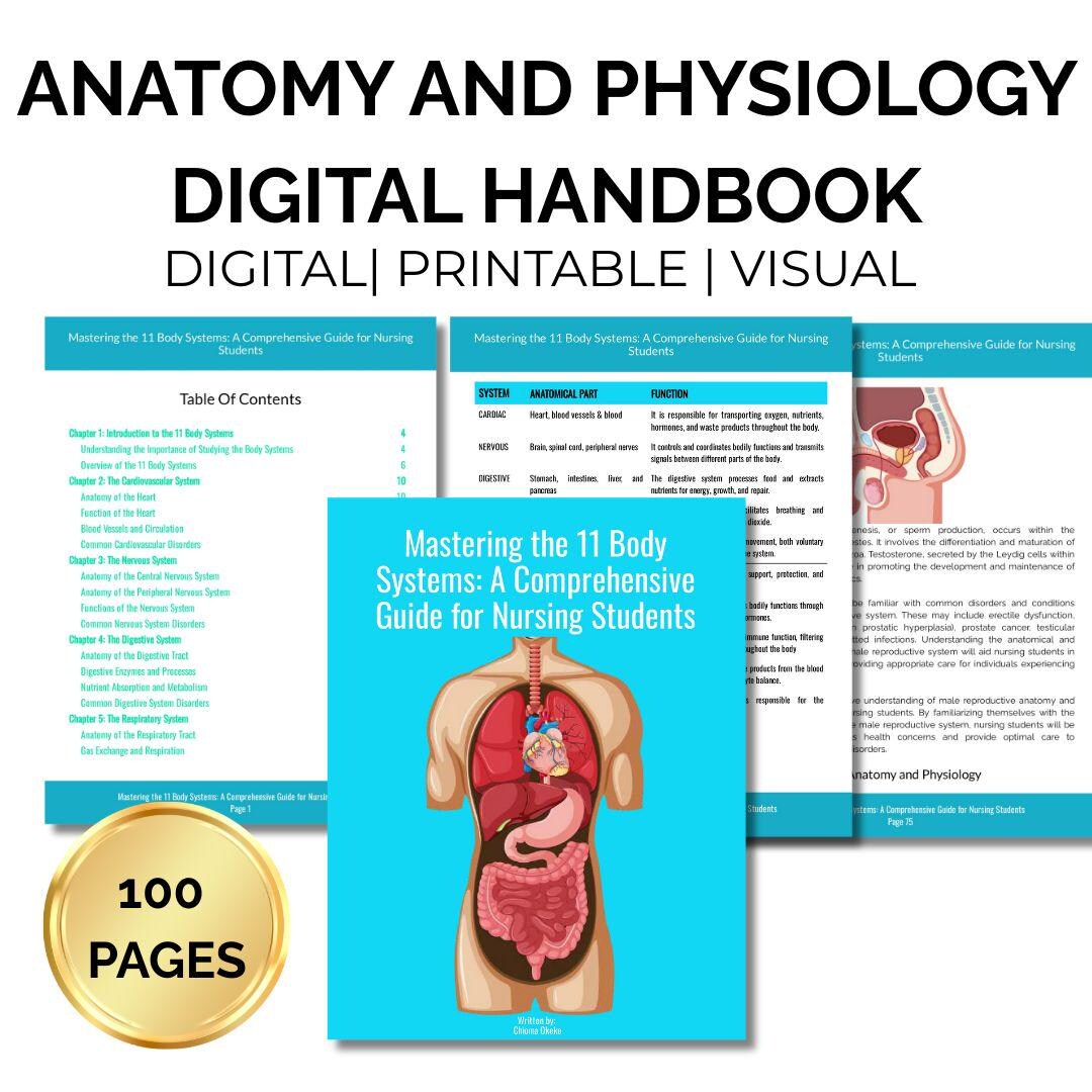 Anatomy and Physiology Study Guide, 11 Body Systems, RN LPN Notes ...