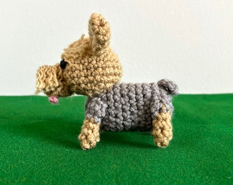 Kit DIY Crochet à Loquet - Housse De Coussin Chihuahua 43x43 Cm, Avec Fil Et Crochet
