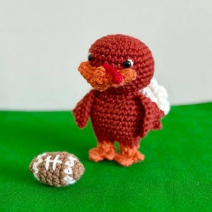May include: A handmade crochet turkey in shades of red, orange, and white, with a small football beside it. The turkey has a red wattle, orange beak, and white wings. The football is brown and white. The background is green.
